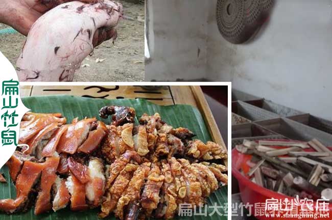 衡陽竹鼠肉多少錢一斤